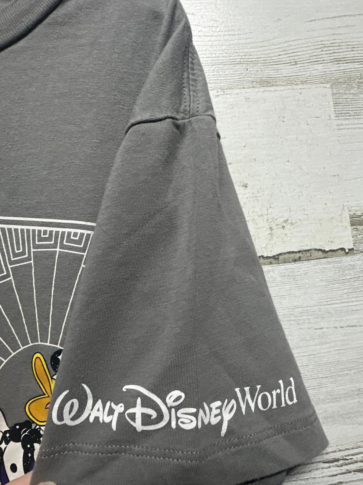 Disney Graphic T-Shirt Kids M Gray 100th Anniversary Mickey Goofy EUC2