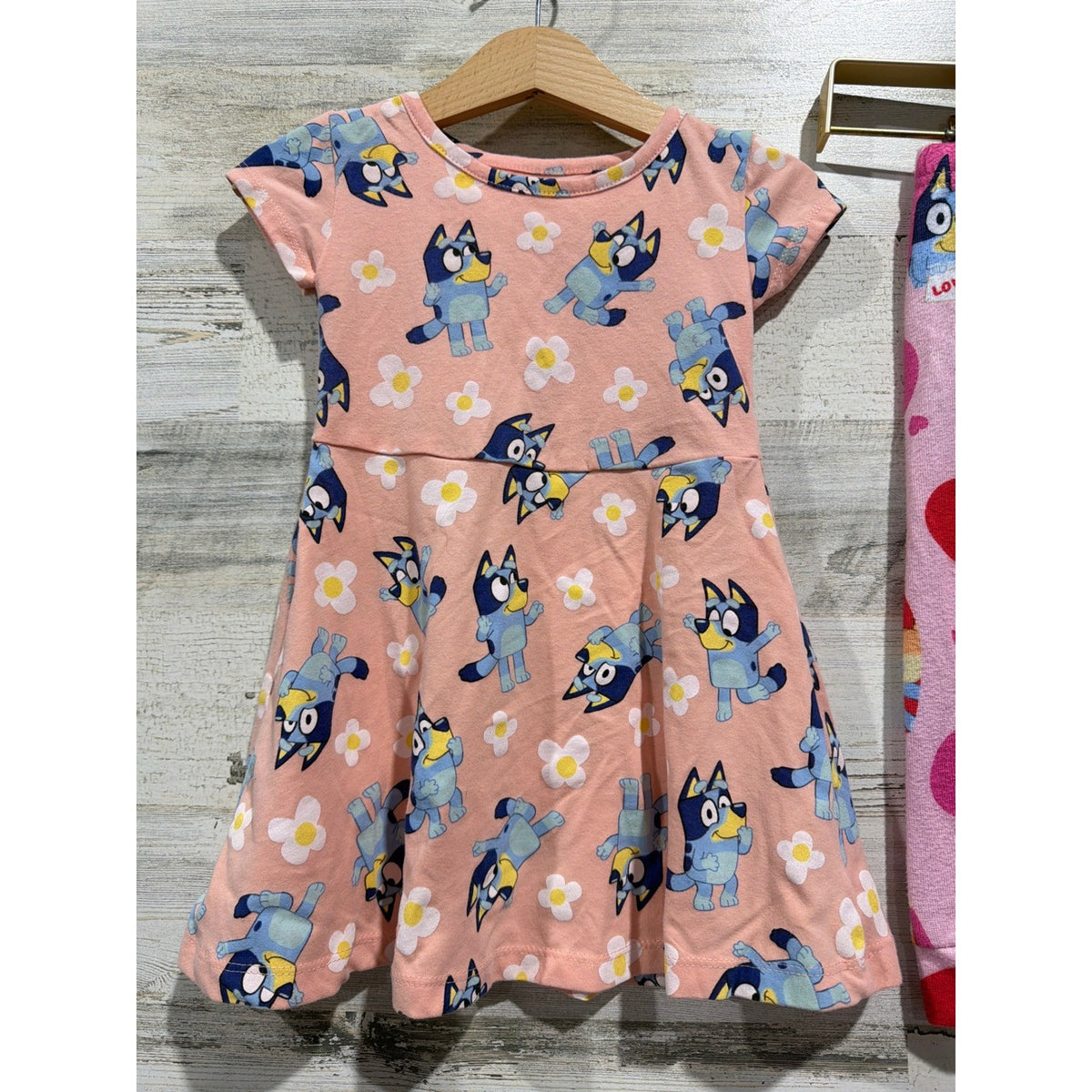 Bluey Sesame Street Garanimals Bundle Girls 2T Pink Blueycore EUC5