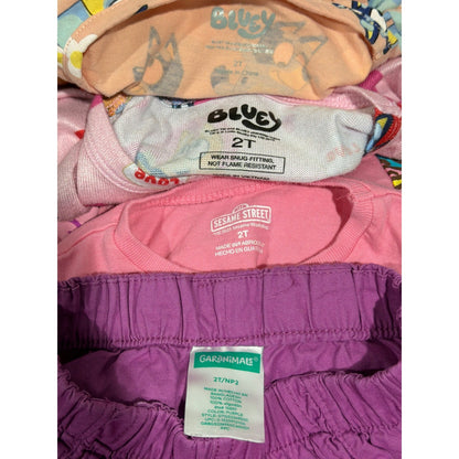 Bluey Sesame Street Garanimals Bundle Girls 2T Pink Blueycore EUC6
