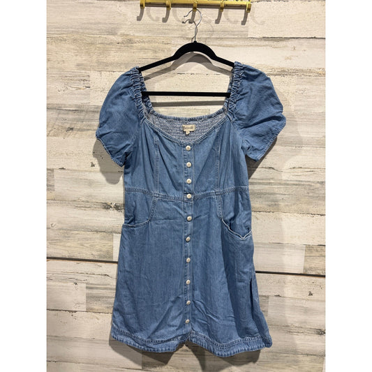 Madewell Denim Dress Women 12 Blue Button Front Puff Sleeve Cottagecore EUC0