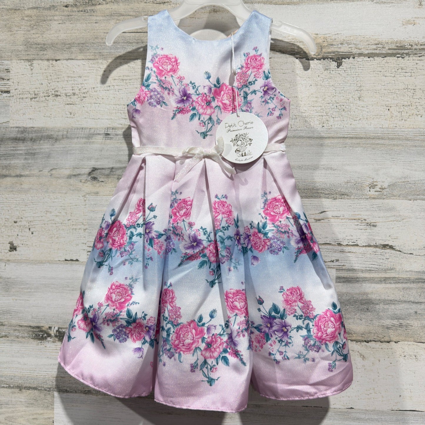 Petit Cherie Floral Dress Girls Size 1 Pink Blue Rose Pleated Coquette NWT0