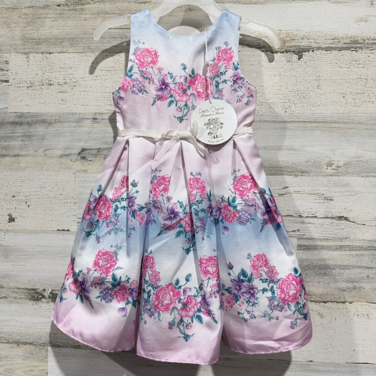 Petit Cherie Floral Dress Girls Size 1 Pink Blue Rose Pleated Coquette NWT0