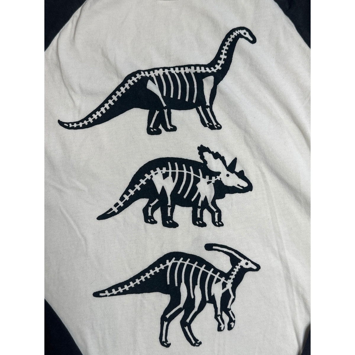 Hanna Andersson Raglan Tee Boys 10 Grey Cream Dinosaur Skeleton EUC2