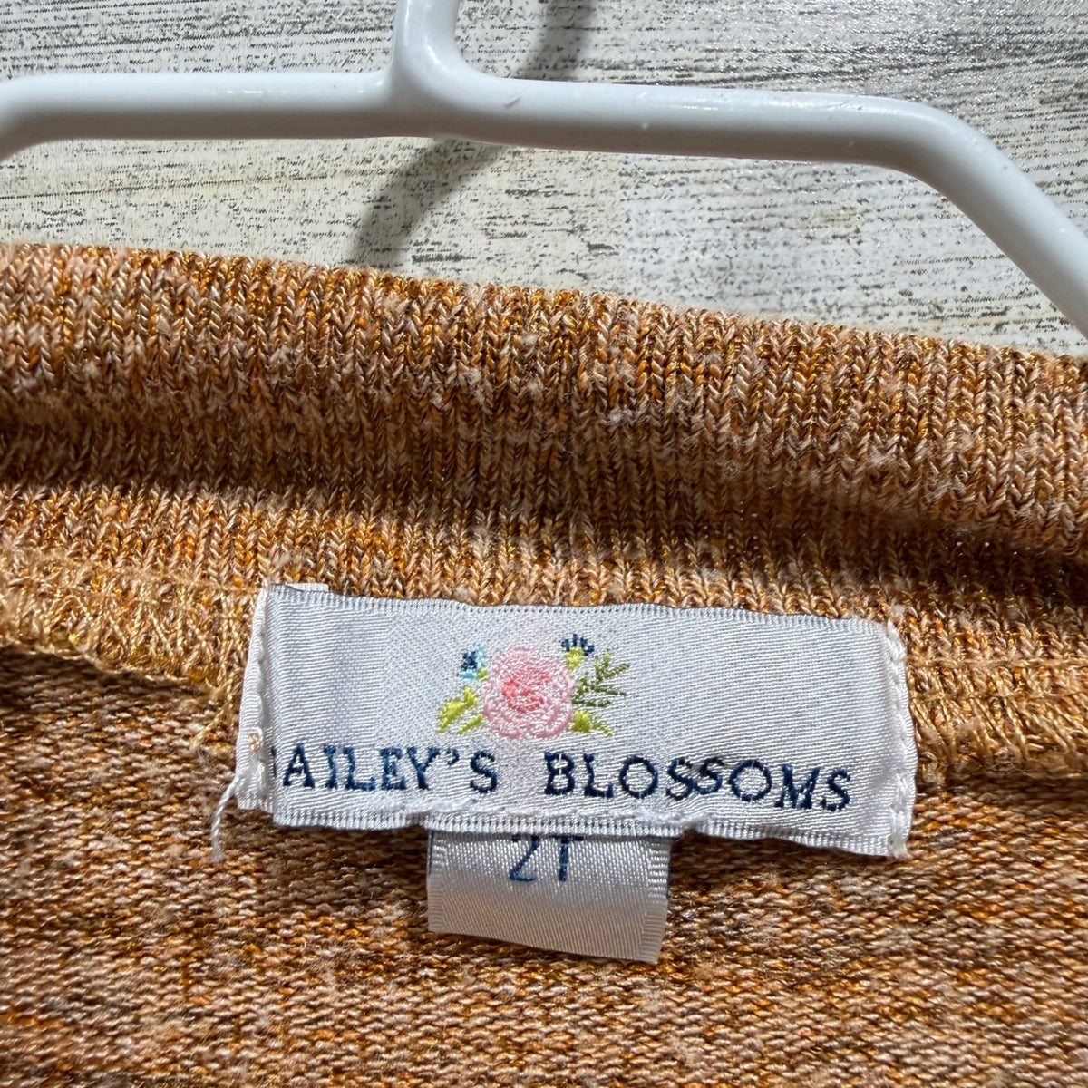 Bailey's Blossoms Turkey Outfit Set Girls 2T Brown Cotton Thanksgiving Holiday3