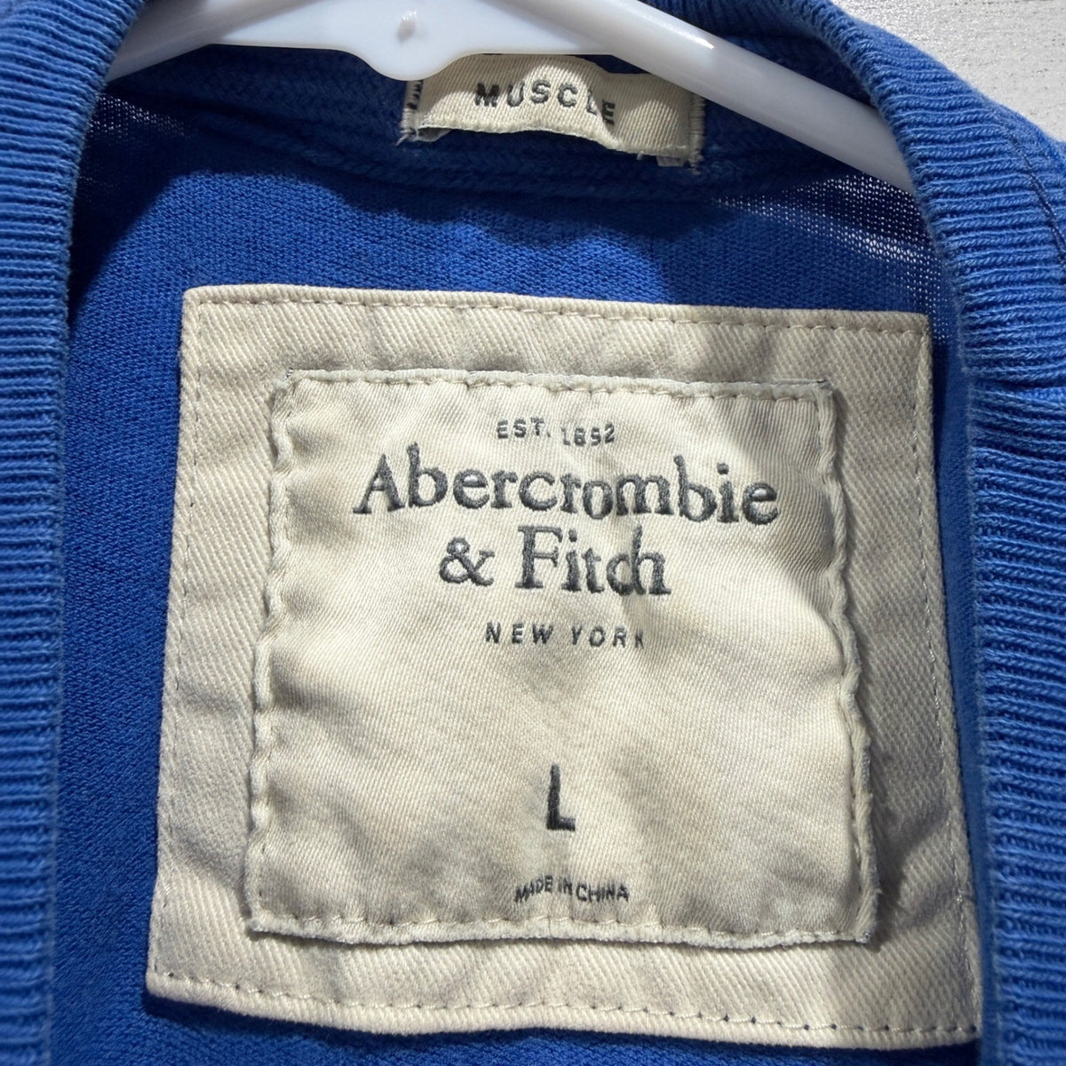 Abercrombie & Fitch Muscle Fit Logo Tee Men Large Blue Cotton Y2K Flawed*1