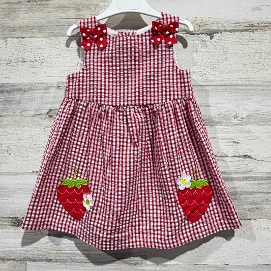 Counting Daisies Dress Girls 2T Red Gingham Strawberry Cottagecore EUC0