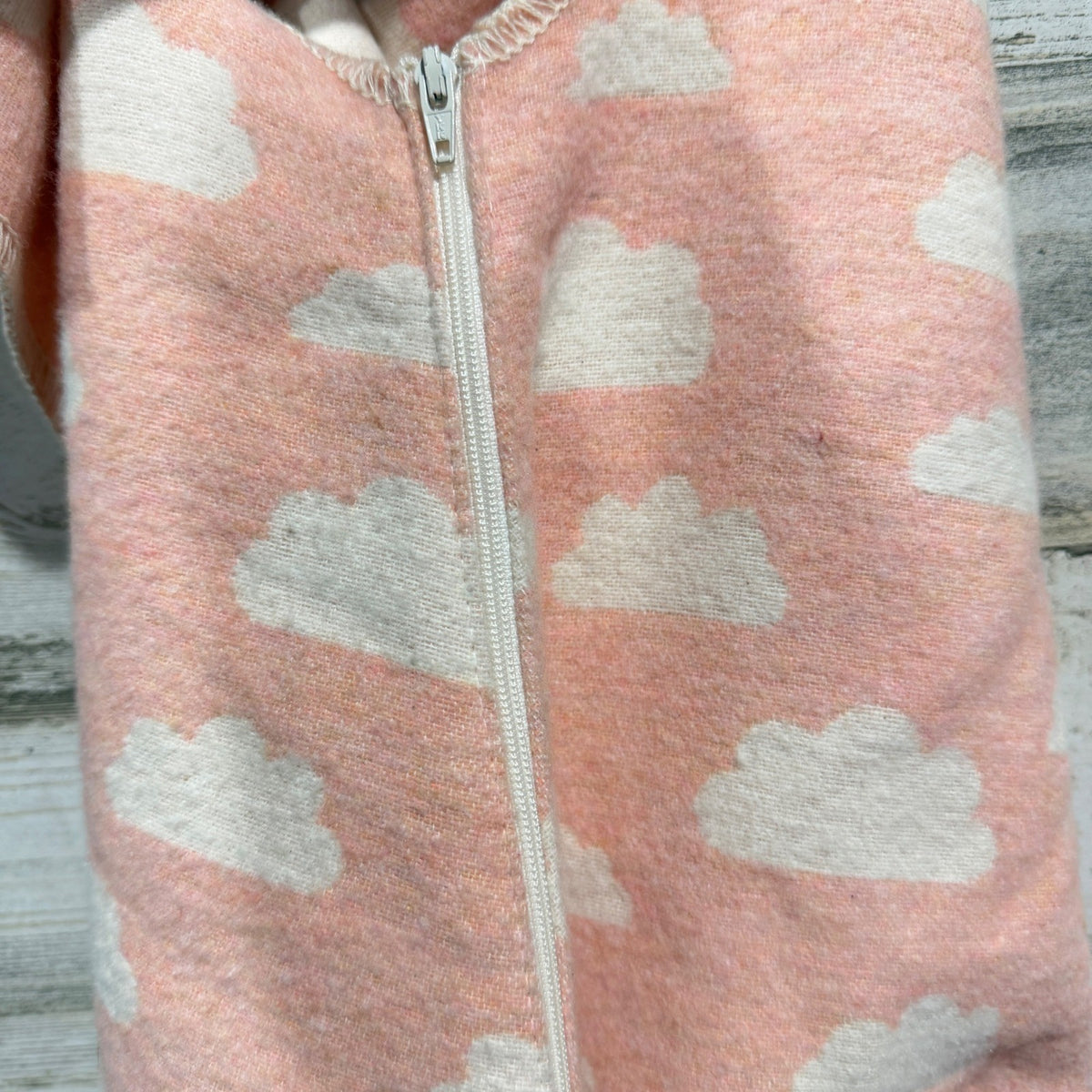 David Fussenegger Sleep Sack Girls 0-12M Pink Cloud Flannel Sleepy NWT4