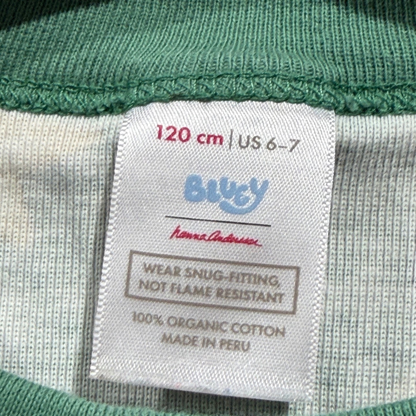 Hanna Andersson Bluey Pajamas Kids 6-7 Green Organic Cotton Holiday EUC2