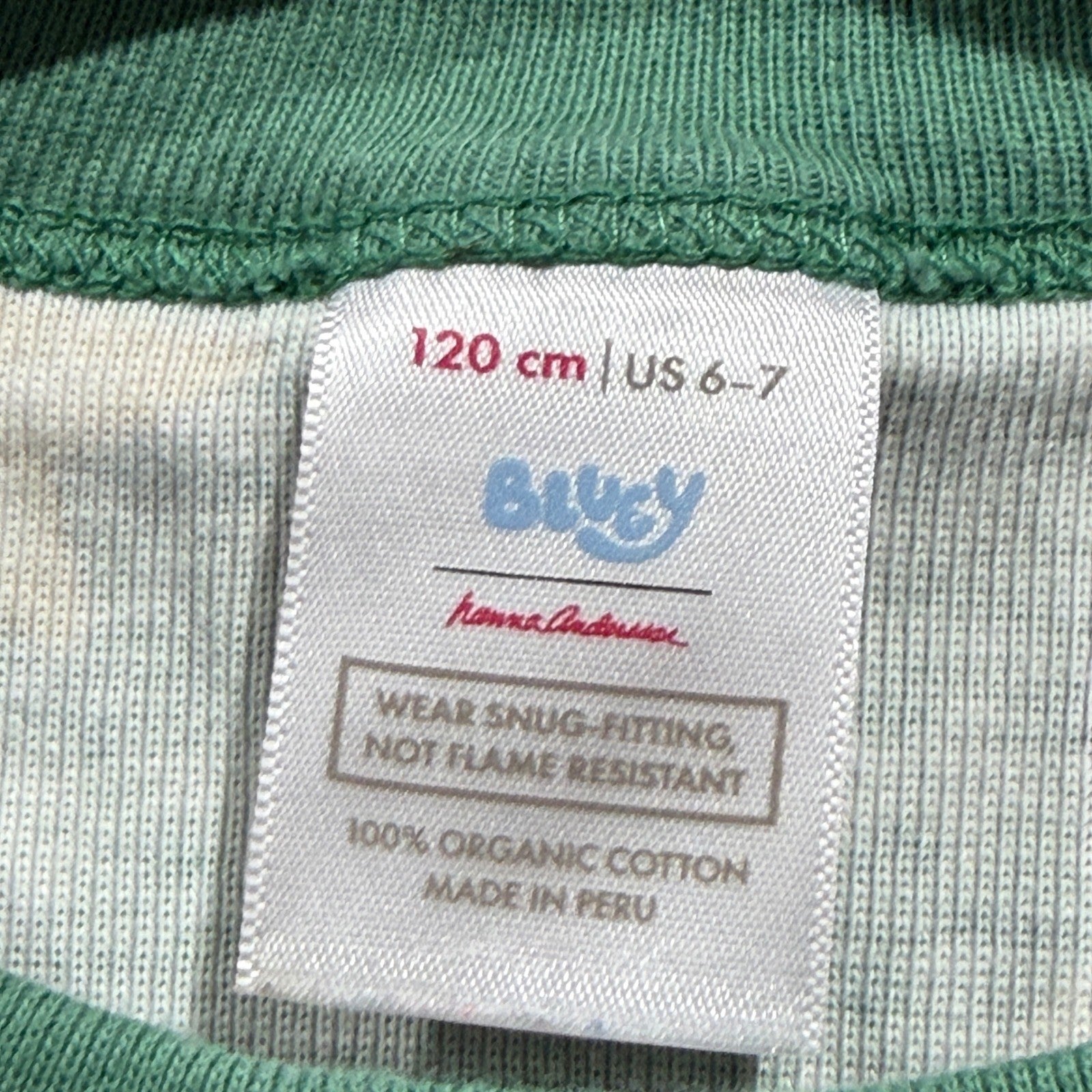 Hanna Andersson Bluey Pajamas Kids 6-7 Green Organic Cotton Holiday EUC2