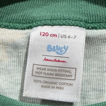 Hanna Andersson Bluey Pajamas Kids 6-7 Green Organic Cotton Holiday EUC2