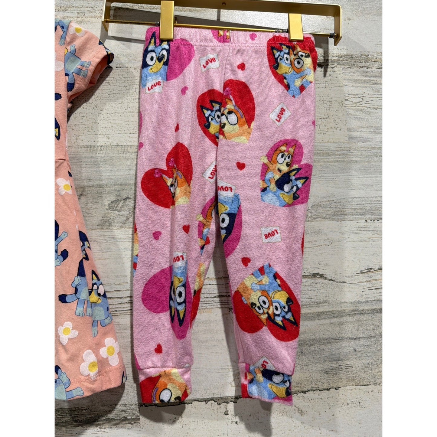 Bluey Sesame Street Garanimals Bundle Girls 2T Pink Blueycore EUC4