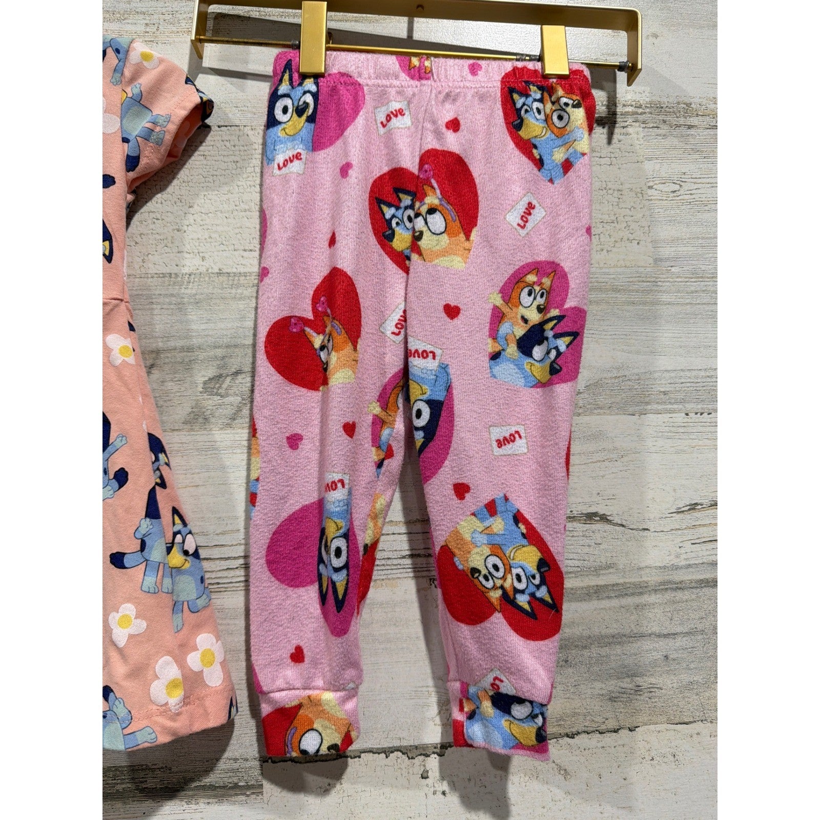 Bluey Sesame Street Garanimals Bundle Girls 2T Pink Blueycore EUC4