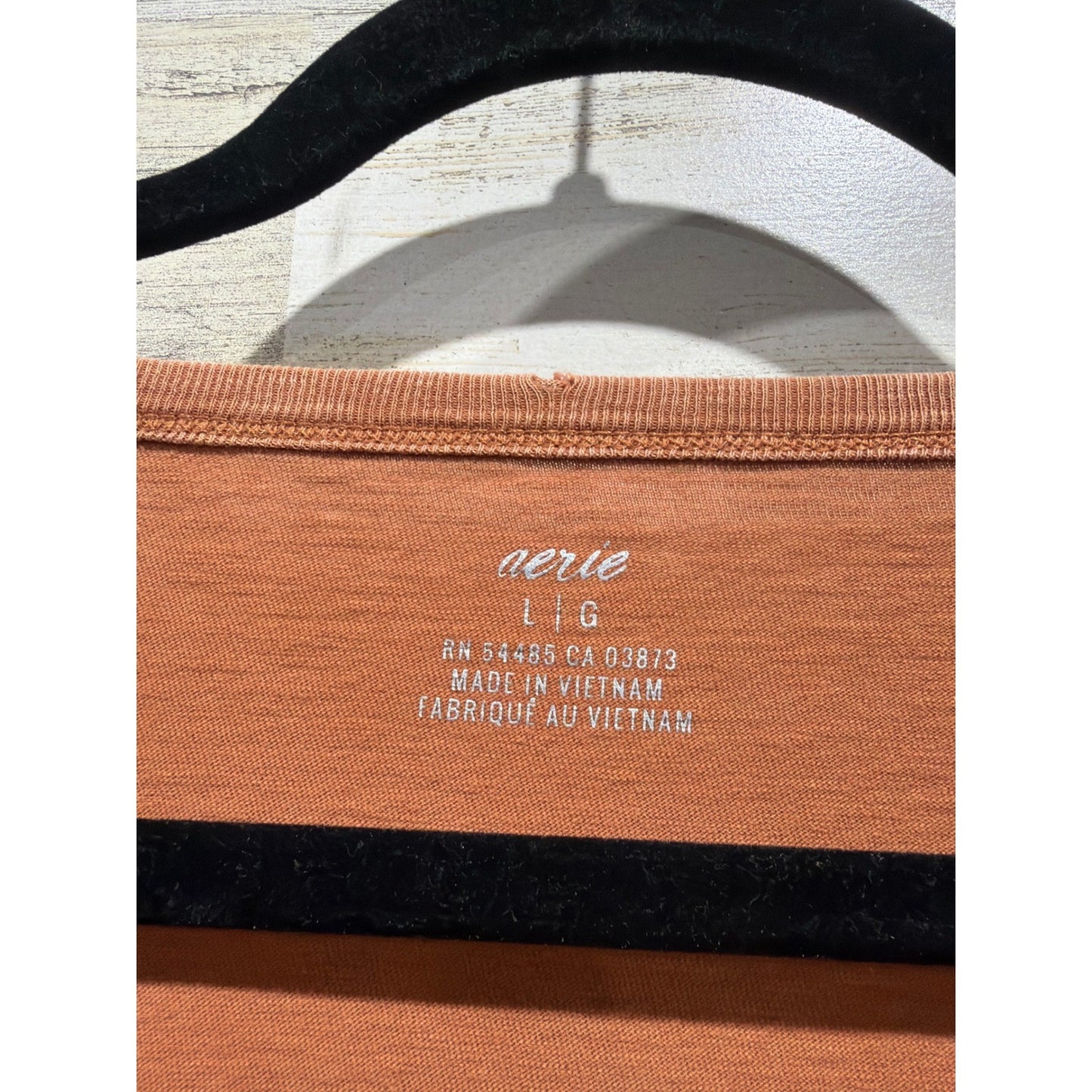 Aerie Oversized V-Neck T-Shirt Women Large Rust Distressed Neckline Boho1