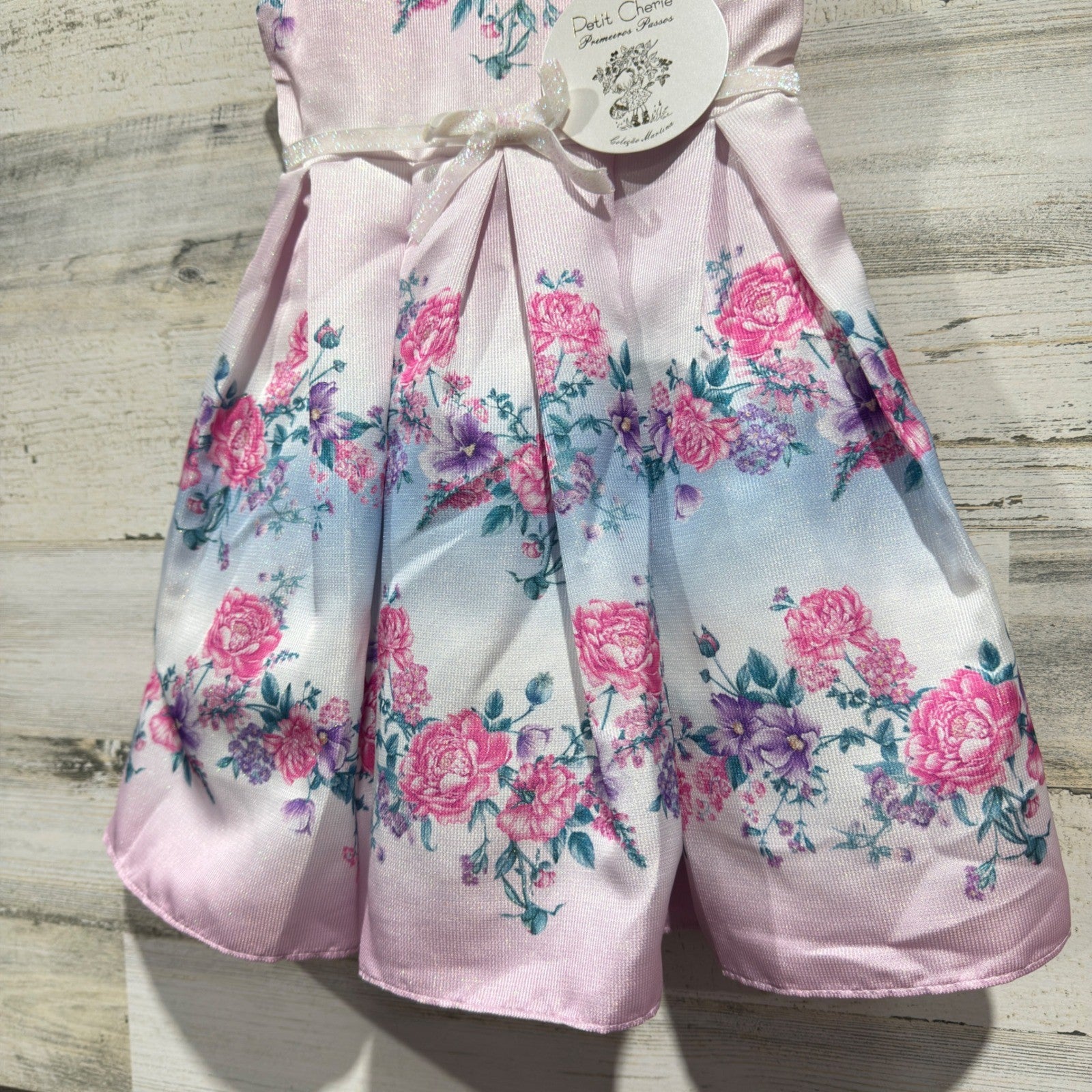 Petit Cherie Floral Dress Girls Size 1 Pink Blue Rose Pleated Coquette NWT1