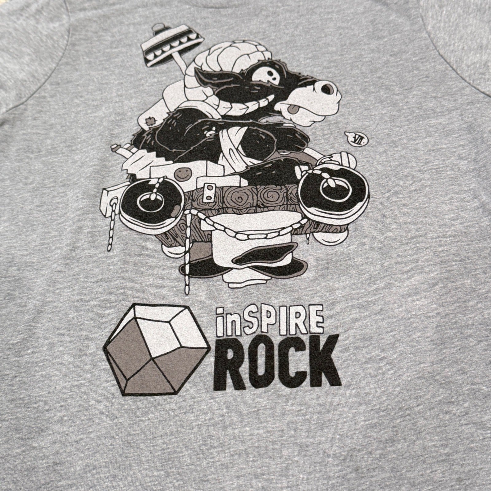 Next Level Inspire Rock T-Shirt Kids Medium Gray Graphic Climbing EUC1