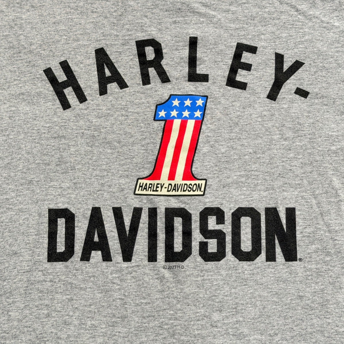 Harley Davidson Graphic Tee Kids Youth Medium Gray Logo Americana EUC1