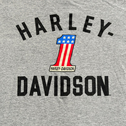Harley Davidson Graphic Tee Kids Youth Medium Gray Logo Americana EUC1