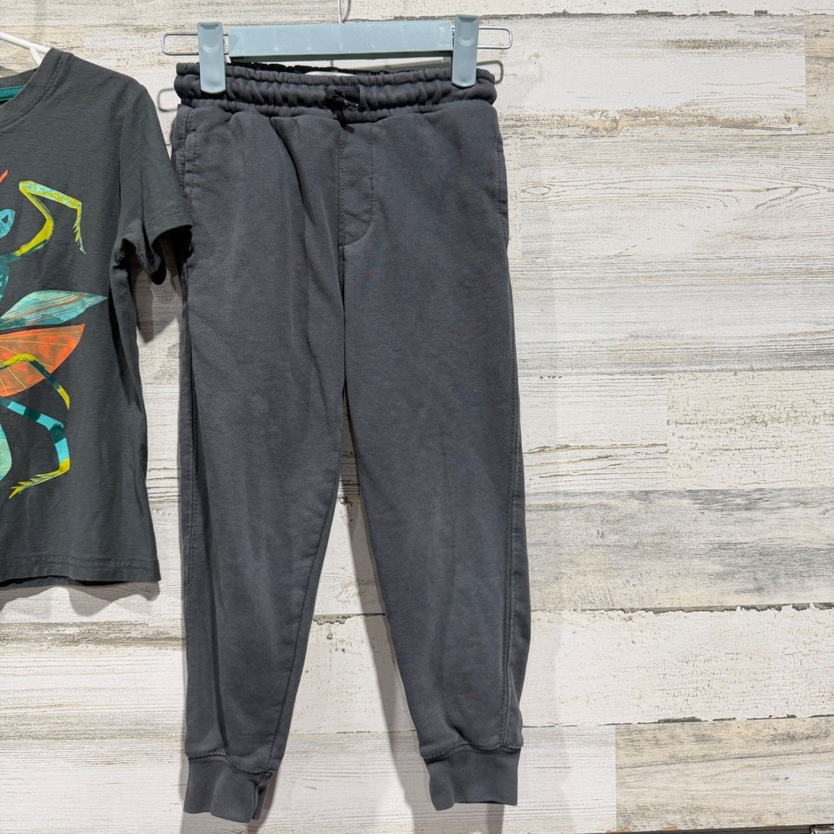 Tea Collection Zara Kids Outfit Size 6 Gray Mantis Tee Joggers Bugcore EUC2
