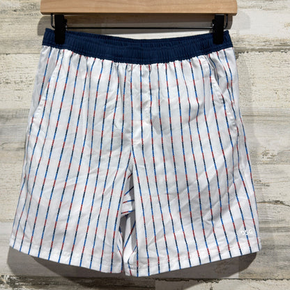 DSG Athletic Shorts Boys L 14-16 White USA Pinstripe Sporty EUC0