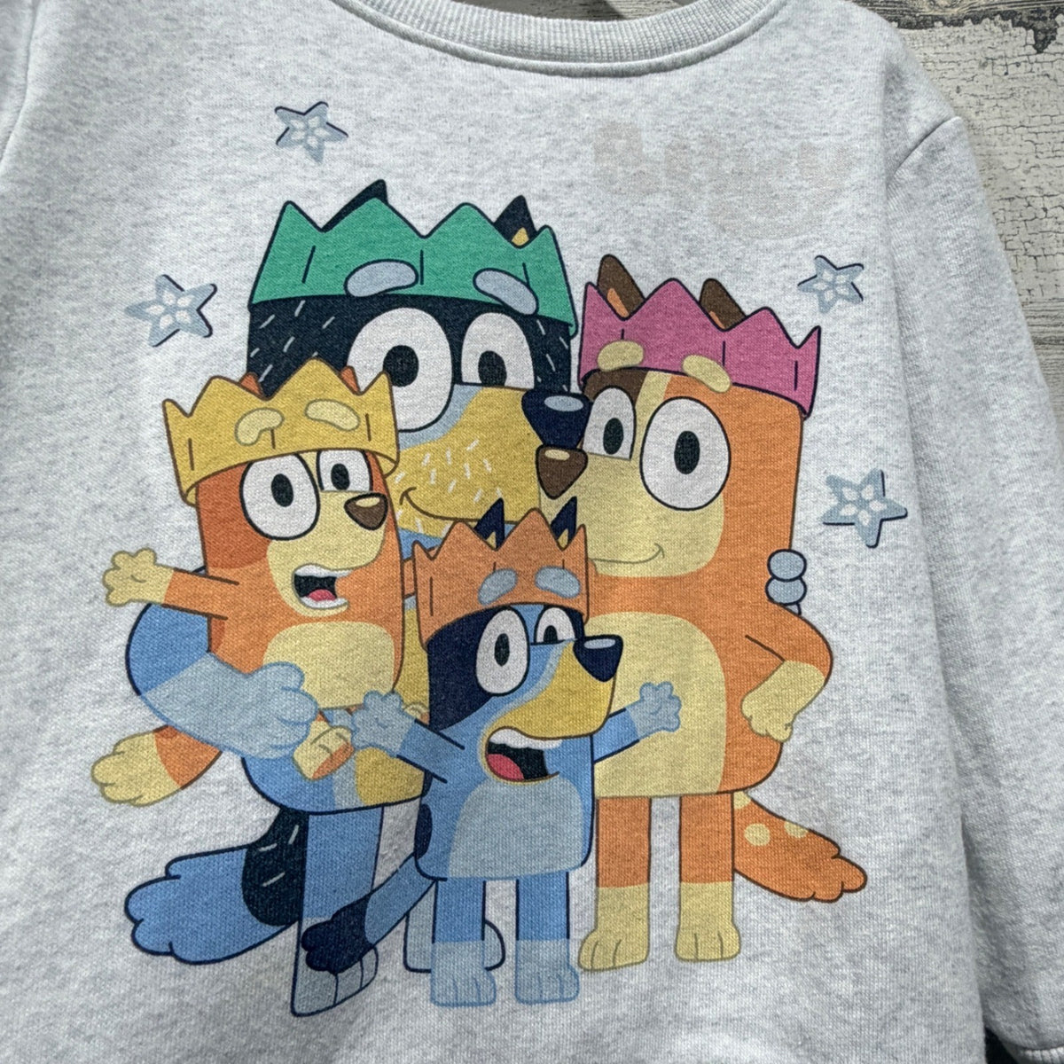 Bluey Heeler Family Sweatshirt Kids 3T Gray Cotton Blend Cartoon Hooray1