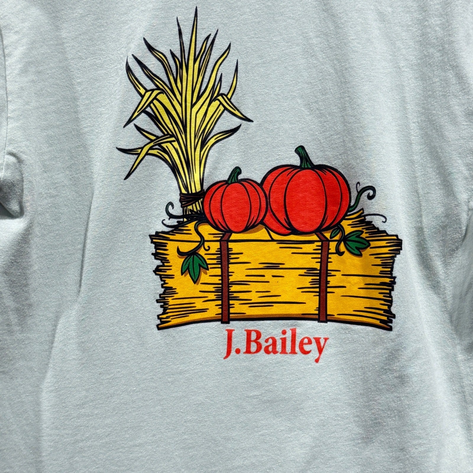 J. Bailey Long Sleeve Shirt Boys 6 Blue Pumpkin Hay Graphic Fall Prep *Flawed7