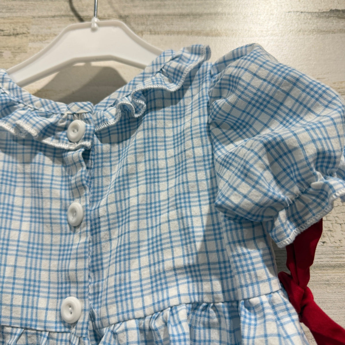 Rylee Faith Designs Apple Smocked Dress Girls 2 Blue Gingham Cotton Preppy EUC3