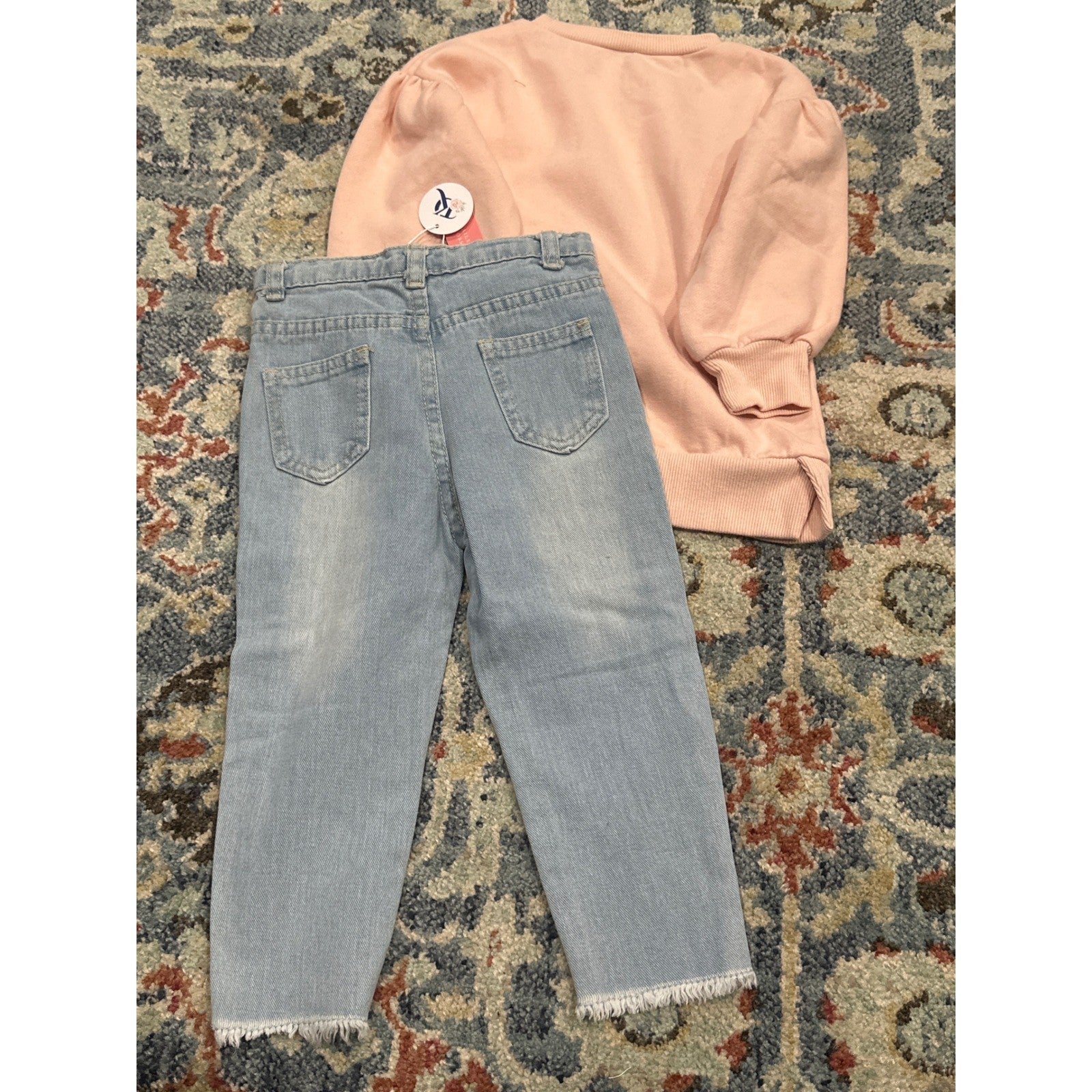 PL Kids Baileys Blossoms Girls 2T Pink Blue Earth Sweatshirt Distressed Jeans3