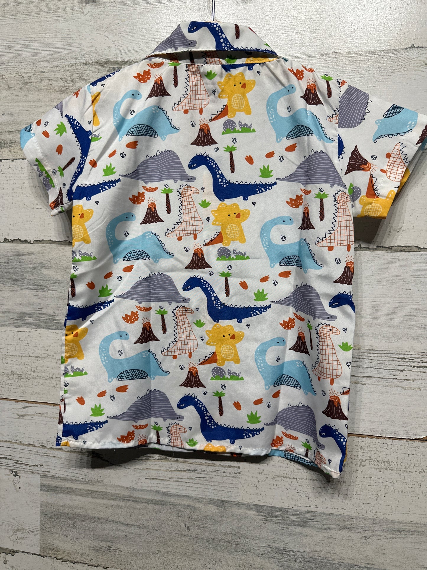 Boys Fits Like Size 4 Dino Button Up Shirt - Good Used Condition