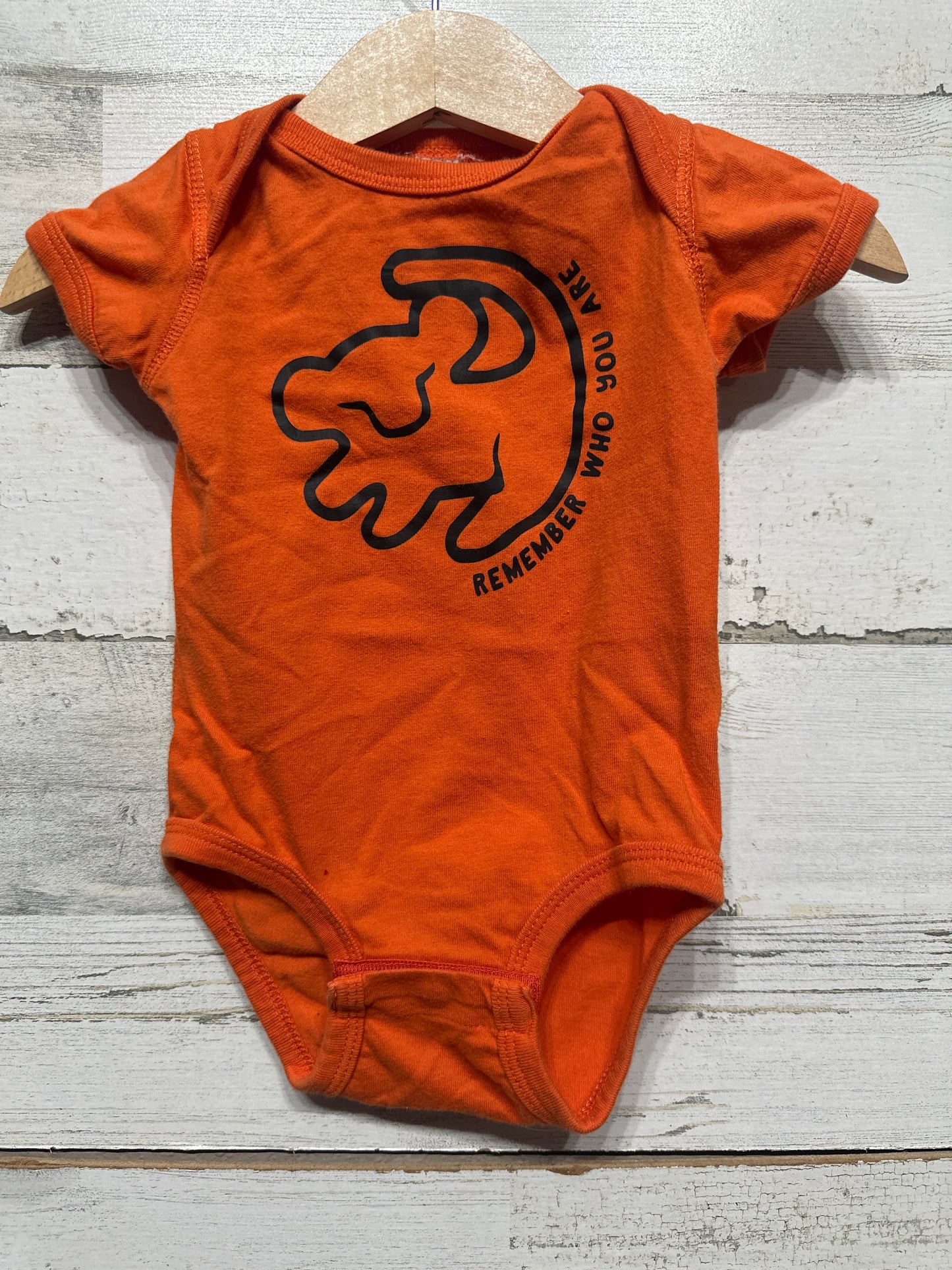 Boys Preowned Size 6m Rabbit Skins Lion King Bodysuit - Good Used Condition