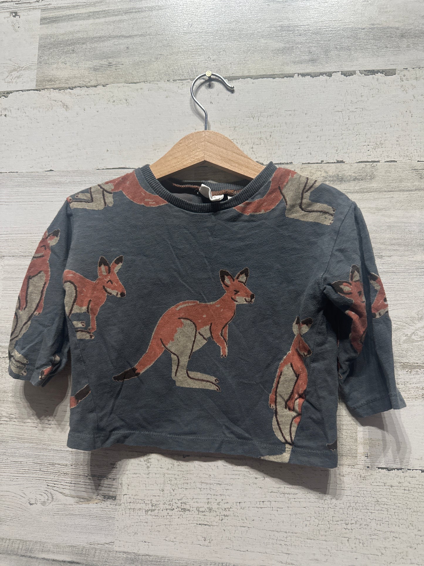 Boys Size 12-18m Zara Kangaroo Shirt - Very Good Used Condition