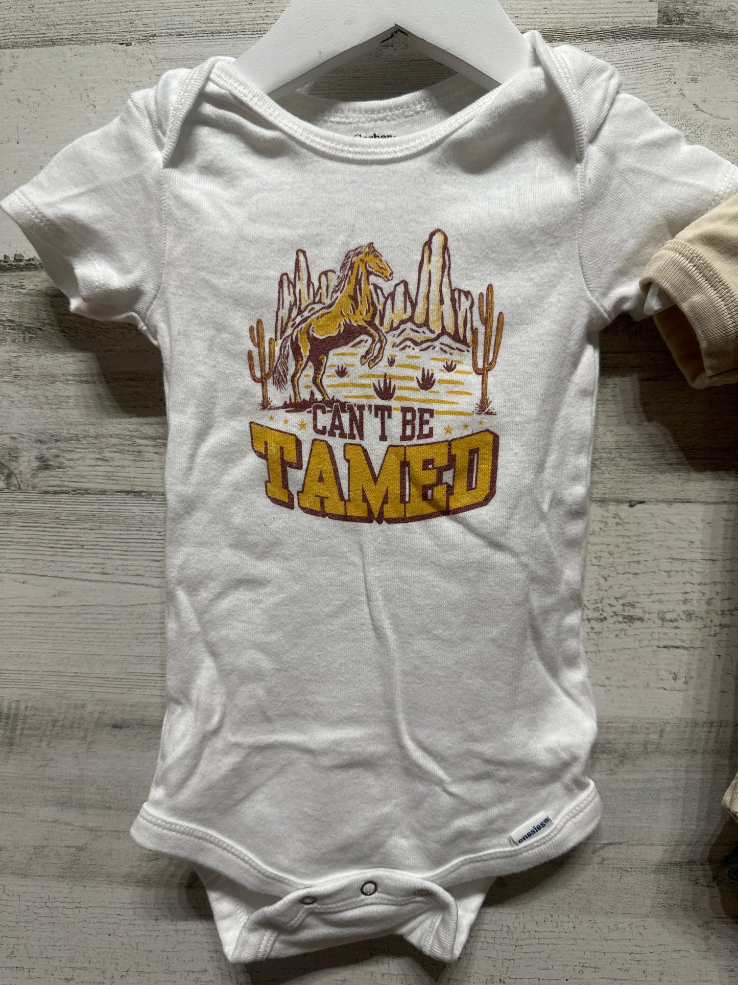 Boys 18m Western Bodysuits - Good Used Condition