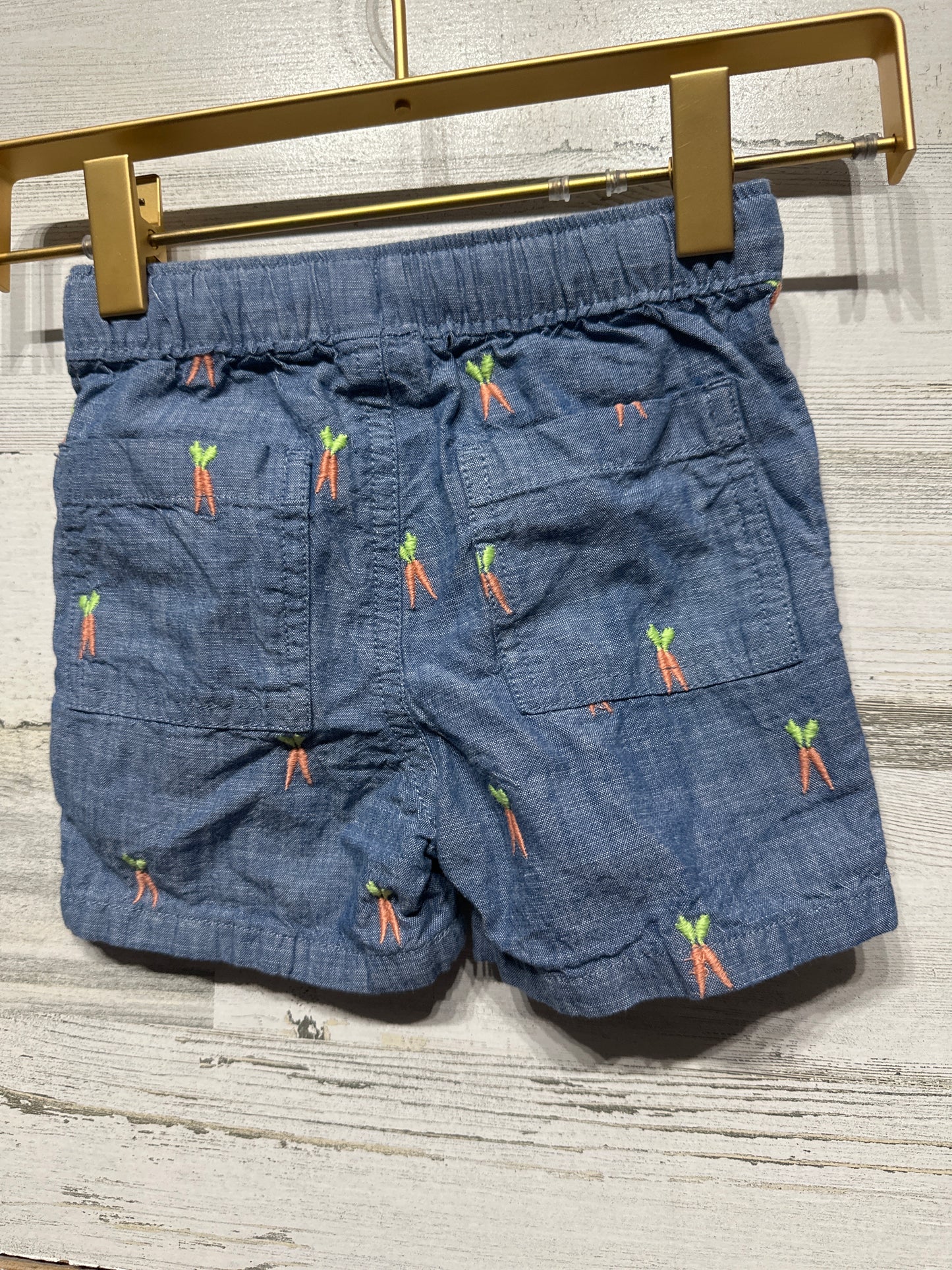 Boys Size 2t Gymboree Embroidered Carrot Shorts - Very Good Used Condition