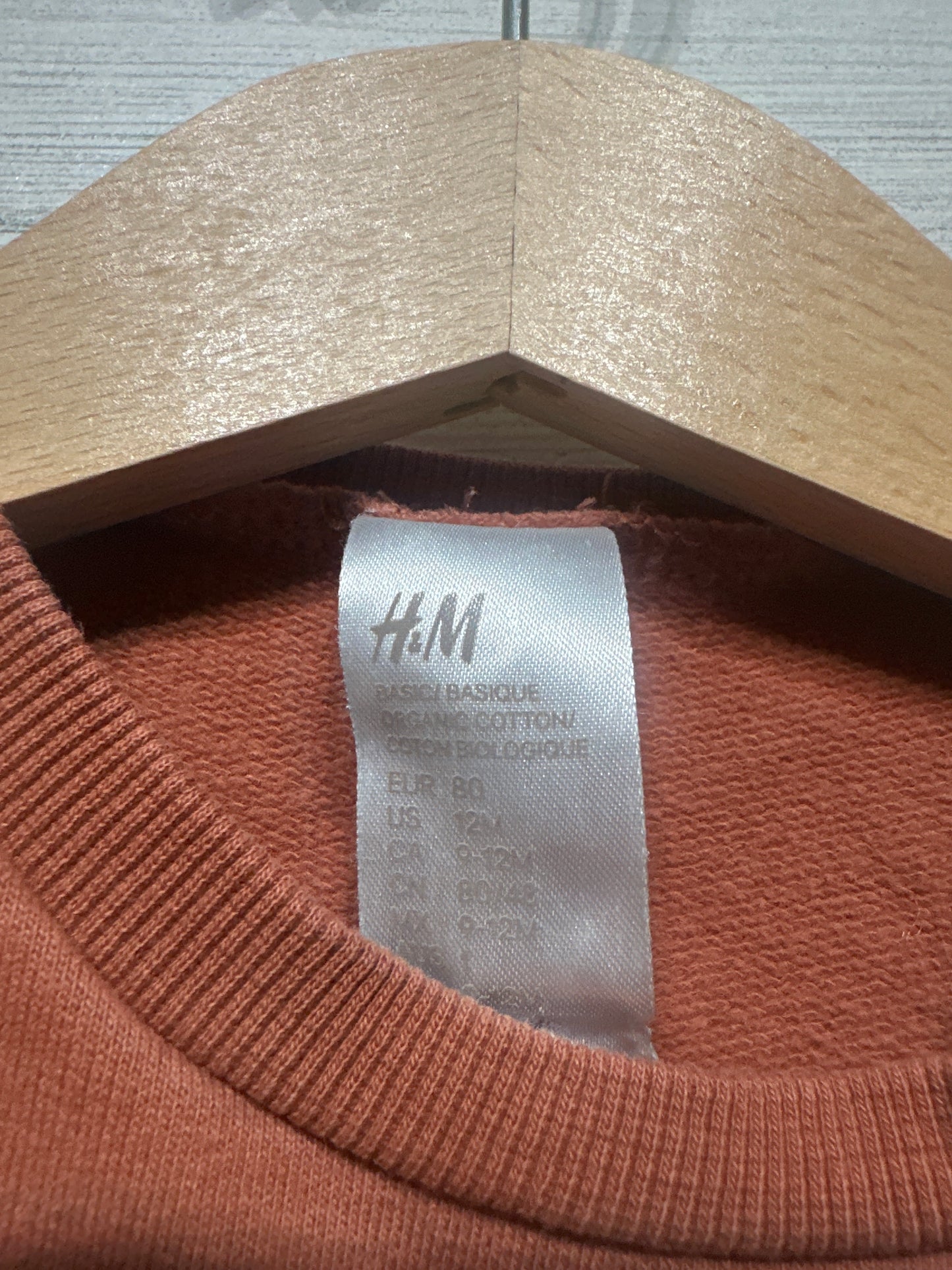 Boys Preowned Size 12m H&M Sweatshirt - Good Used Condition