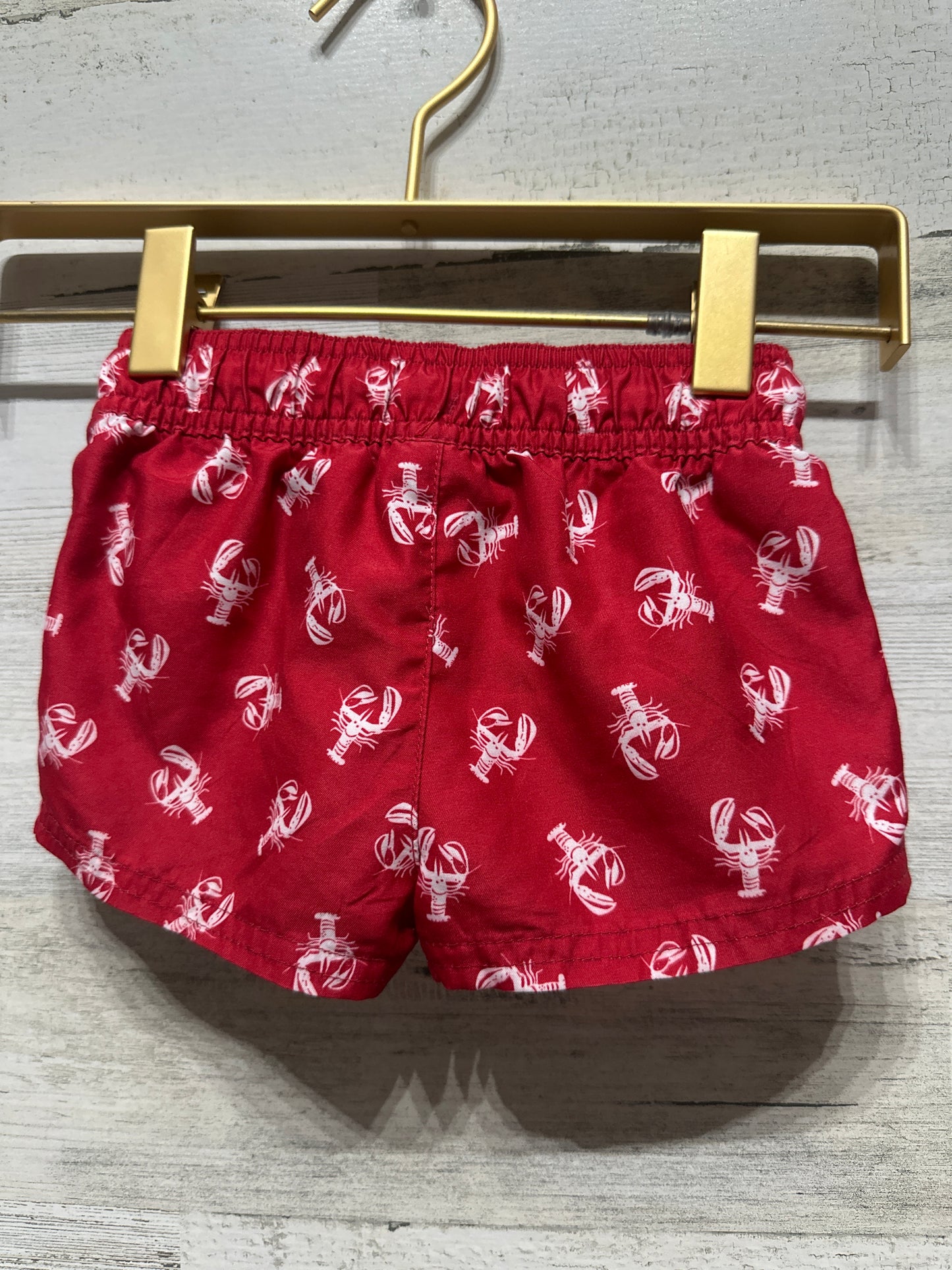Boys Size 3-6m Cat and Jack Swim Trunks - Very Good Used Condition