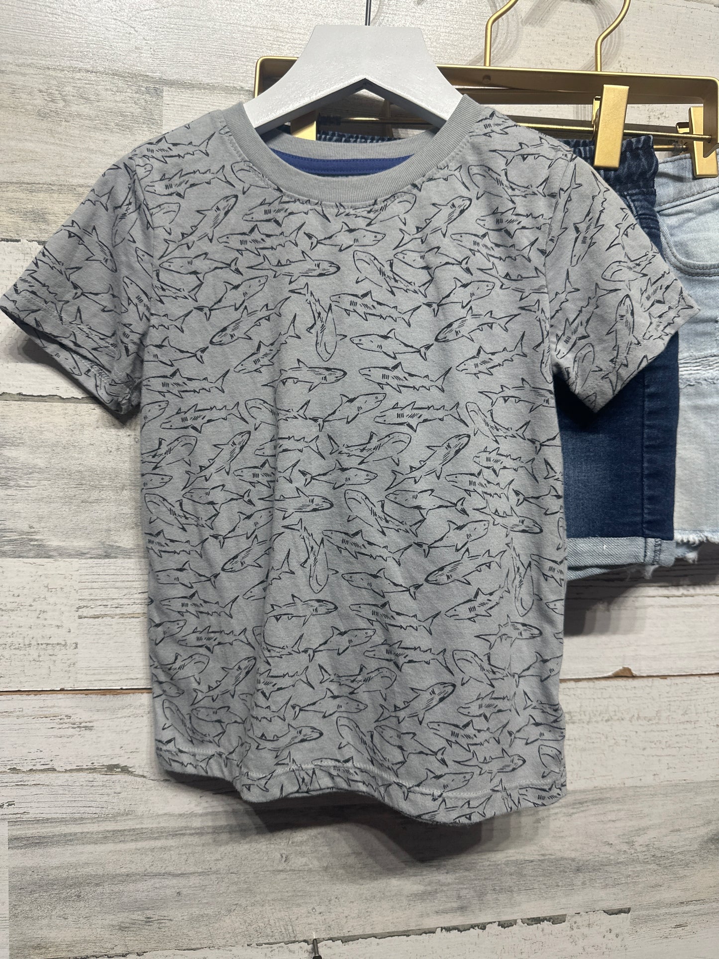 Size 4t Short Sleeve/Shorts Clothing Lot (5 Pieces) - Very Good Used Condition/NWT