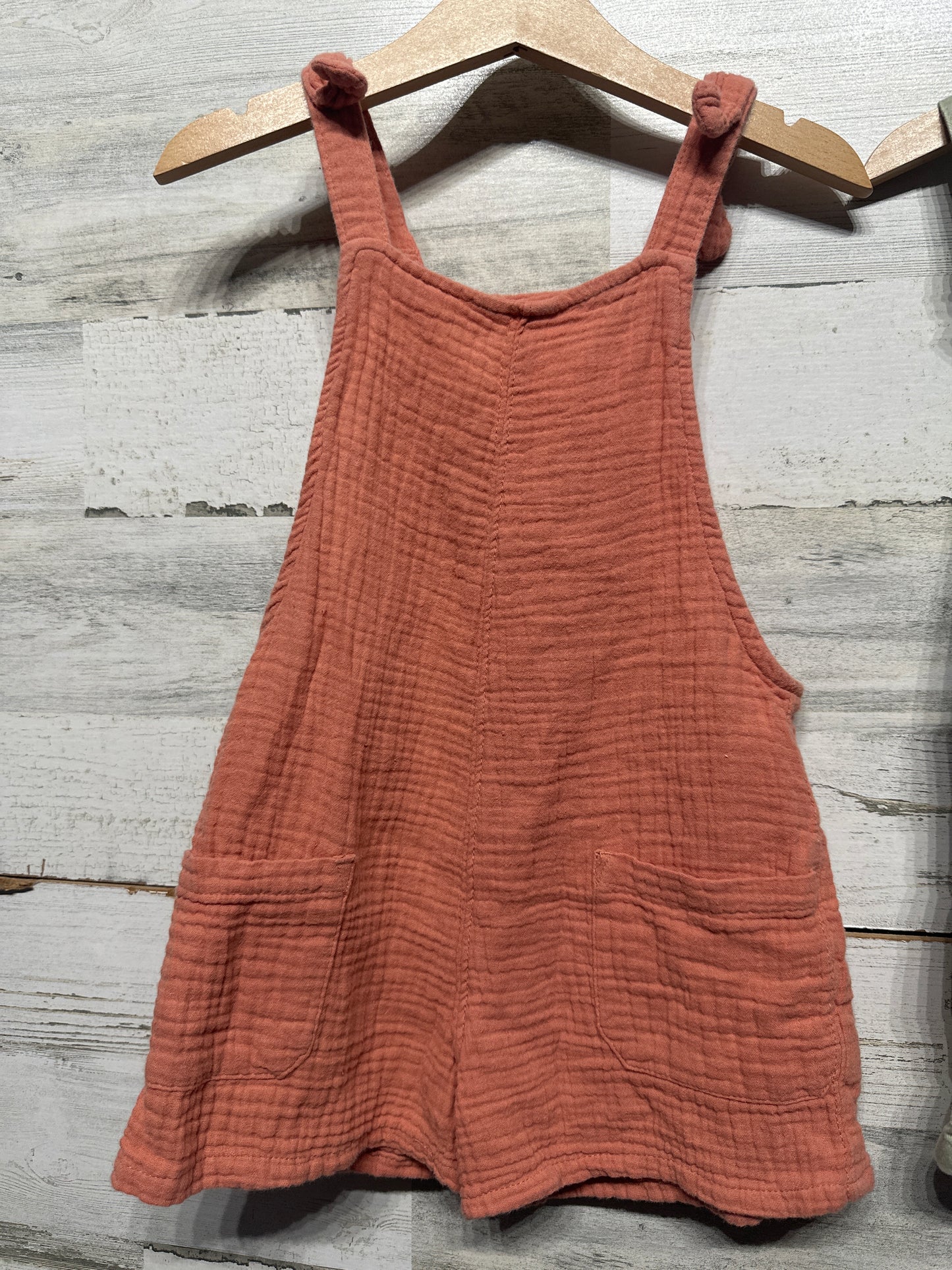 4T Cat & Jack Romper and Size 4 Floral Overalls VGUC