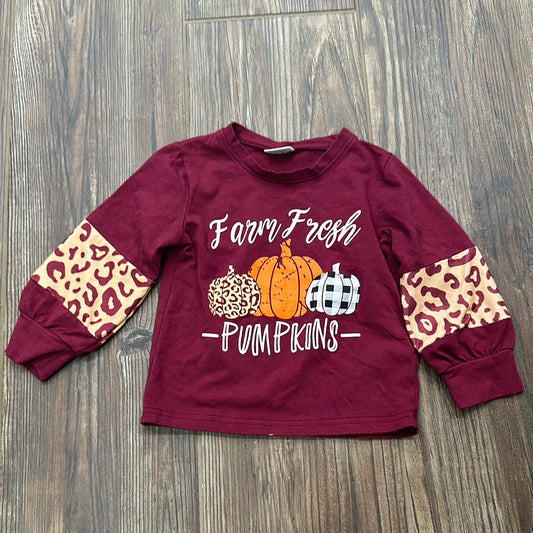 Girls Size 12-18m Farm Fresh Pumpkins Shirt - Good Used Condition