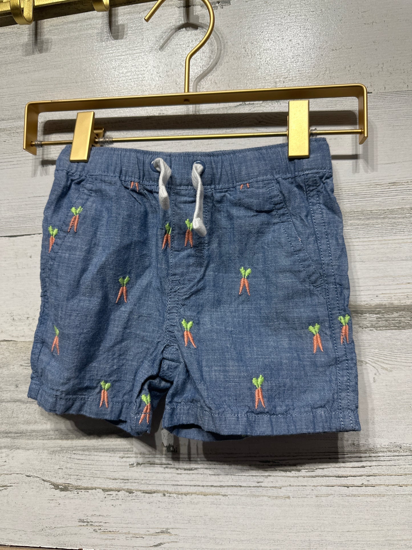 Boys Size 2t Gymboree Embroidered Carrot Shorts - Very Good Used Condition