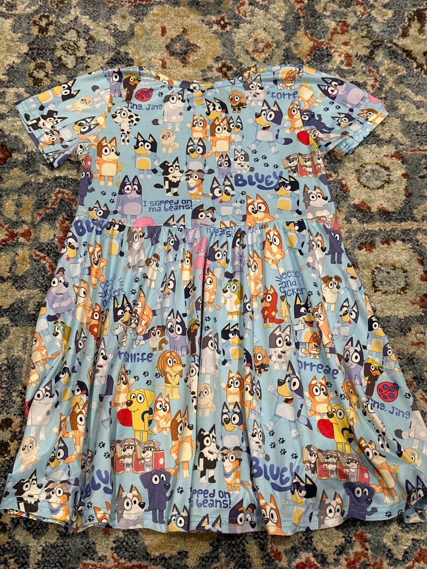 Bluey Dress Girls Size 5-6 VGUC