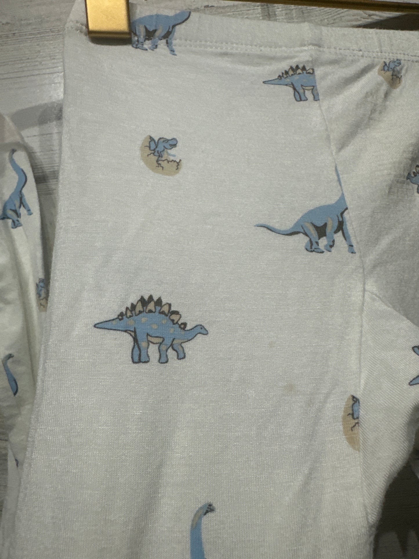 Boys Preowned Size 18-24m Kyte Baby Bamboo Two Piece Dino Pajamas - Play Condition*