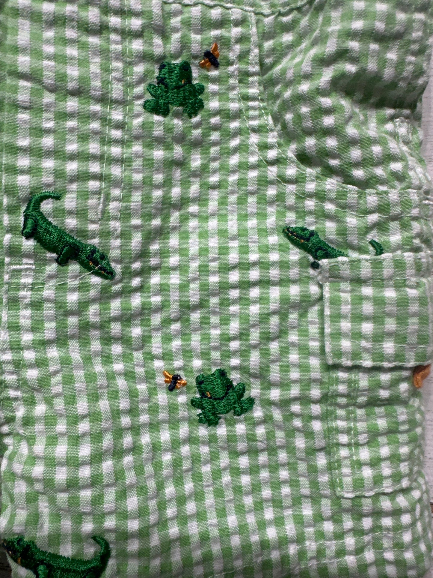 Boys Size 3-6 months Swamp Camp Gingham Embroidered Overalls - Very Good Used Condition