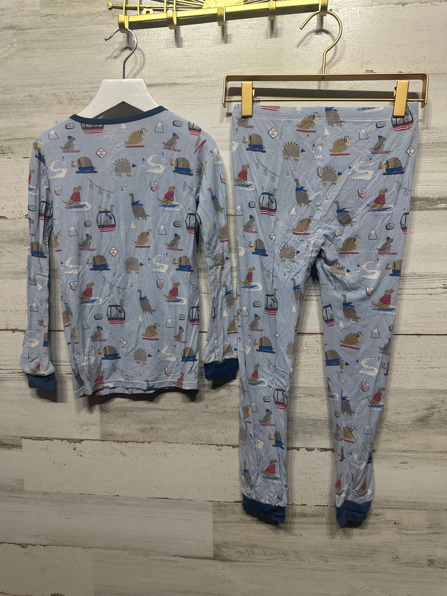 Boys Size 6 Years Magnetic Me Modal Ski Rex Print Pajama Set - Very Good Used Condition