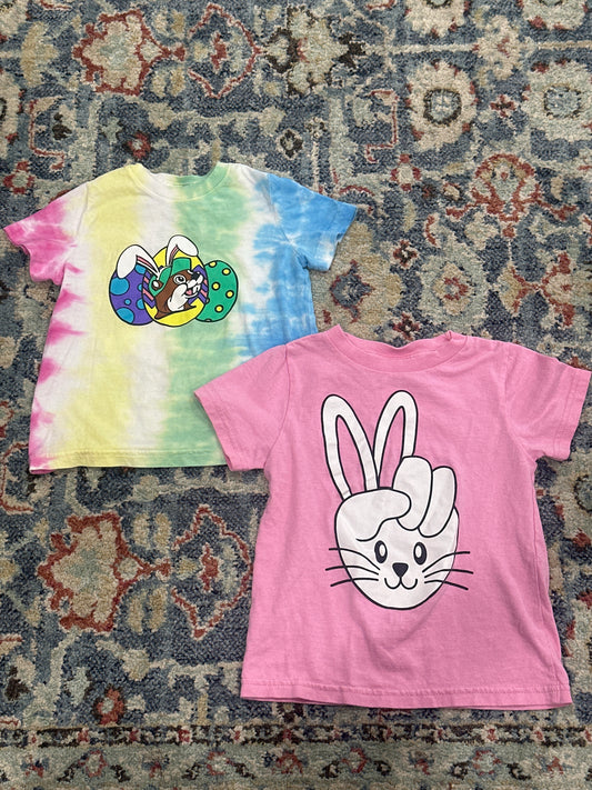 Girls Size 3t Bunny Easter Shirts GUC