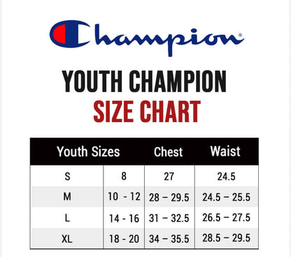 Boys Size Small ( 8 ) Champion Hoodie - Very Good Used Condition