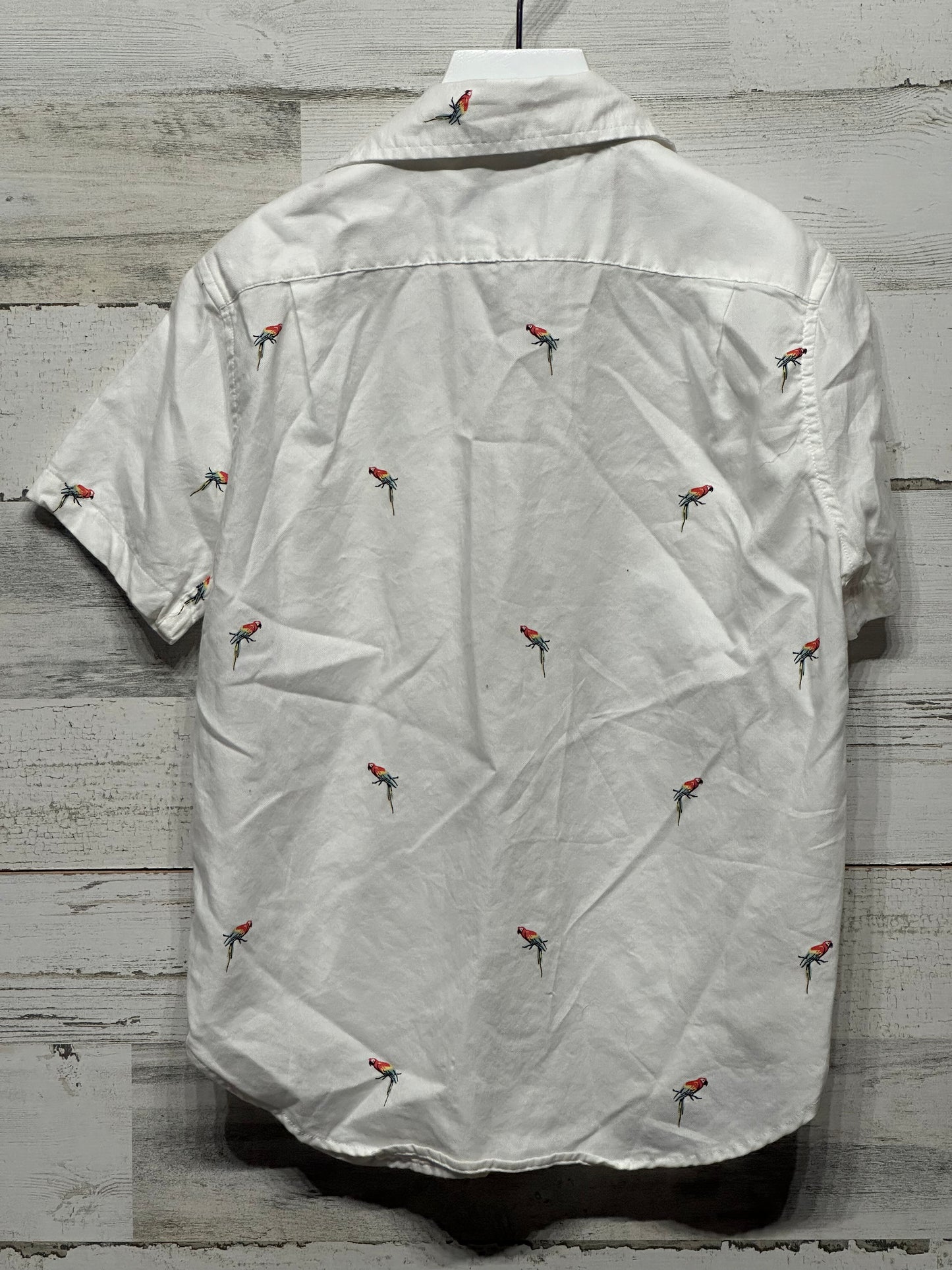 Boys Size 8 Class Club Parrot Button Up - Good Used Condition